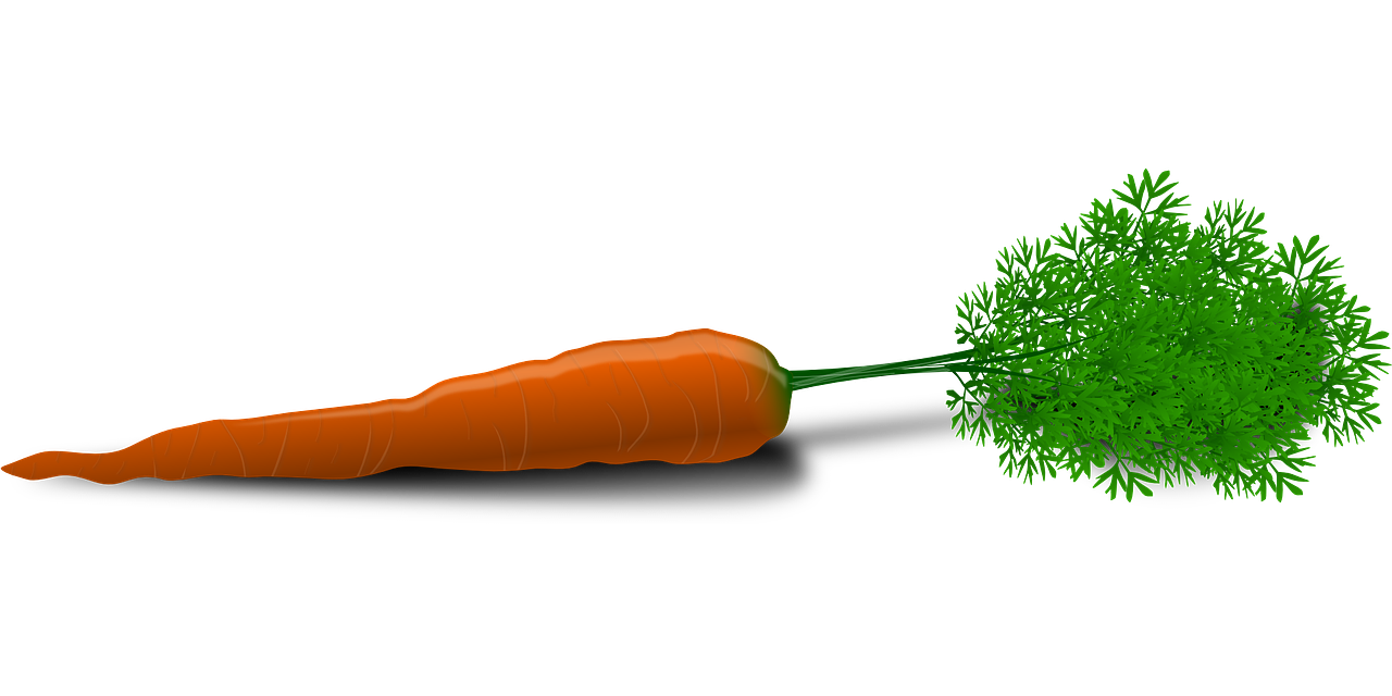 carrot, root crop, vegetable-33625.jpg