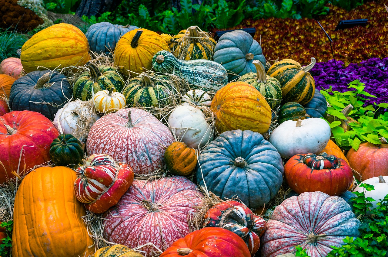 pumpkin, vegetables, autumn-2190584.jpg