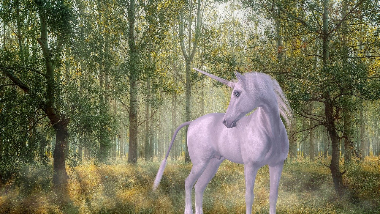 unicorn, forest, fairy tale-1981219.jpg